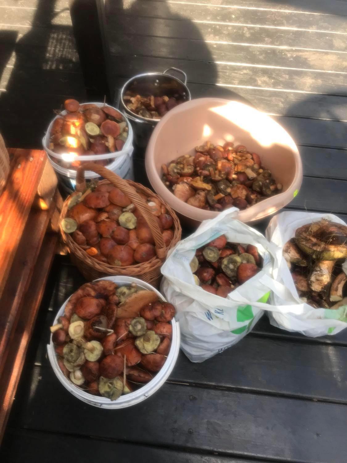 Babia Chata Zawoja Εξωτερικό φωτογραφία